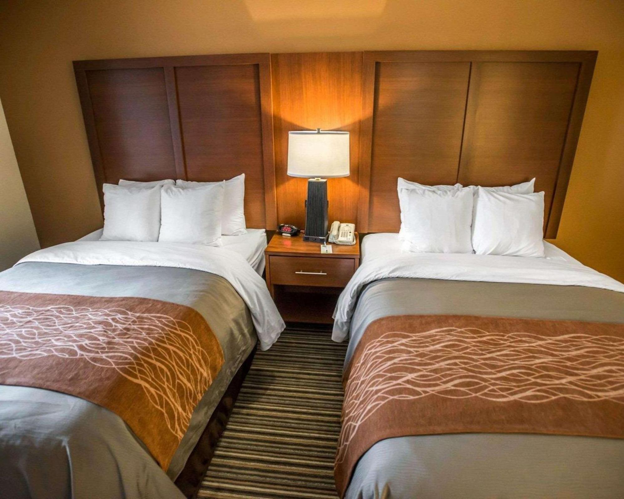 Comfort At The Park Inn