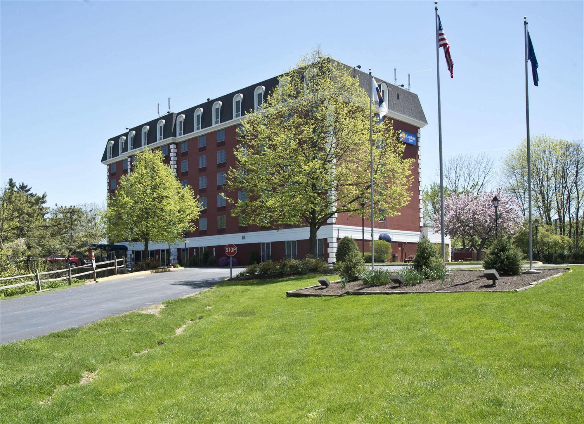 Comfort At The Park Inn 3*