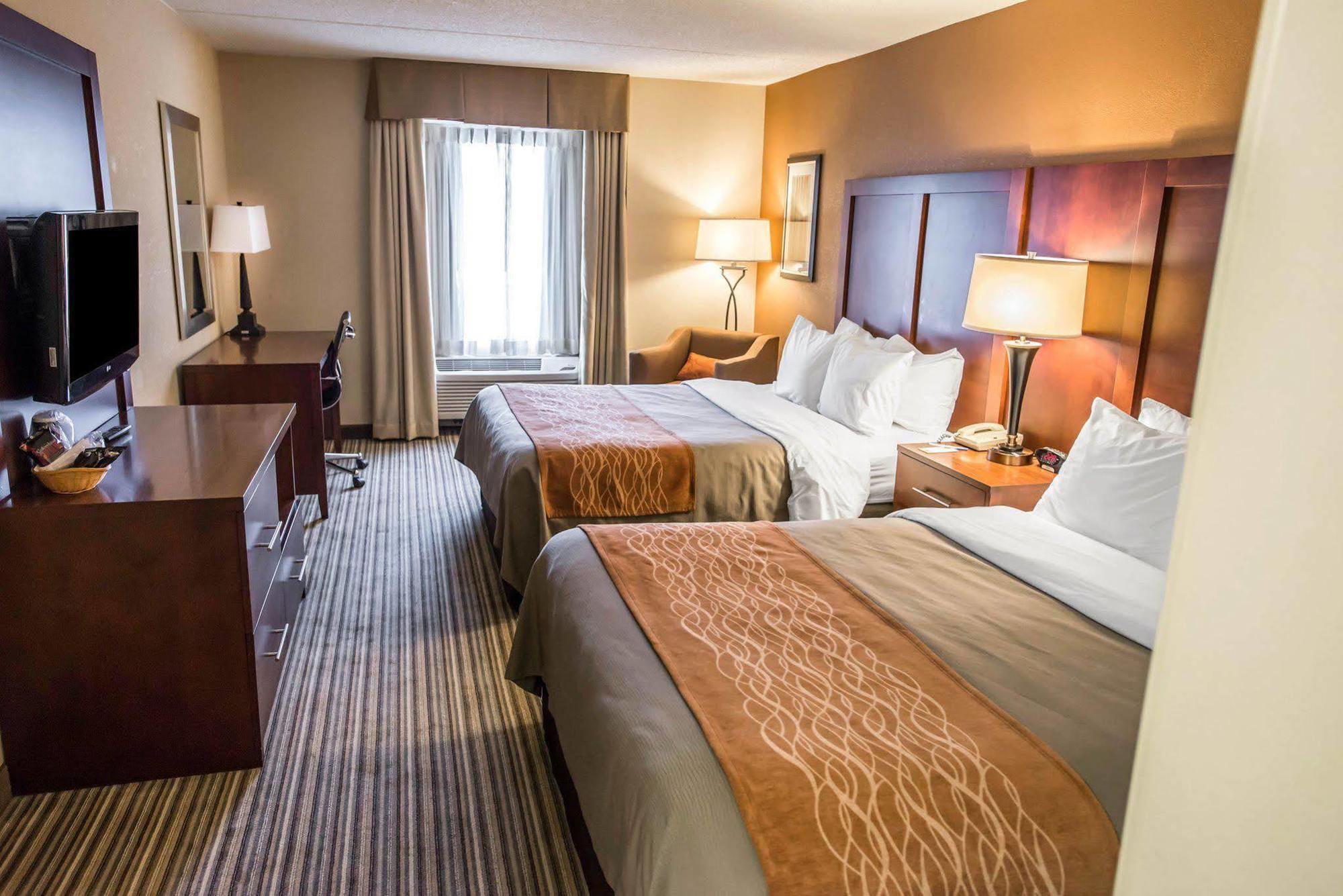 Comfort At The Park Inn