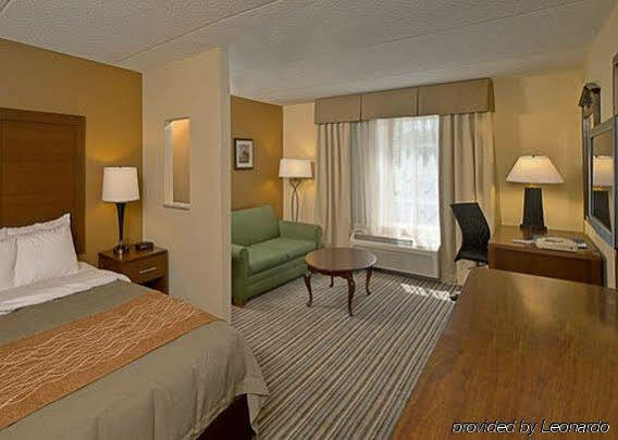 Comfort Hummelstown Near The Park - Inn 3*